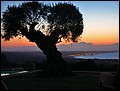IMG_7697.JPG