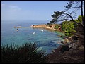 IMG_8009.JPG