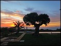 IMG_8263.JPG