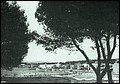 Arenal 1940.jpg