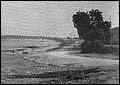 Cala Millor 1930.jpg