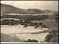 Canyamel 1930.jpg