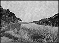 Santa Margarita Son Baulo 1915.jpg