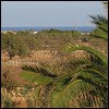 IMG_0775 - 153 KB