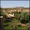 IMG_2050 - 155 KB